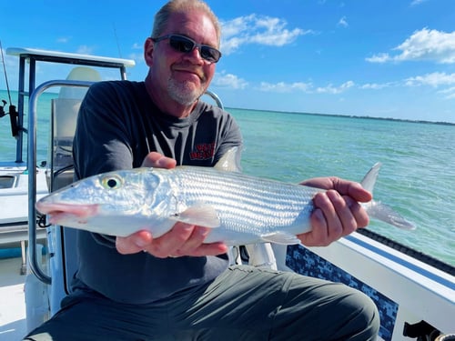 Tavernier Backcountry Fishing