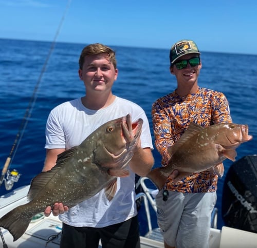 Sarasota Inshore/Nearshore