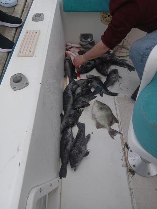 3/4 day Offshore Trip