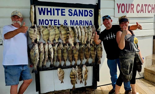Family Friendly Fishing Charters and Excursions