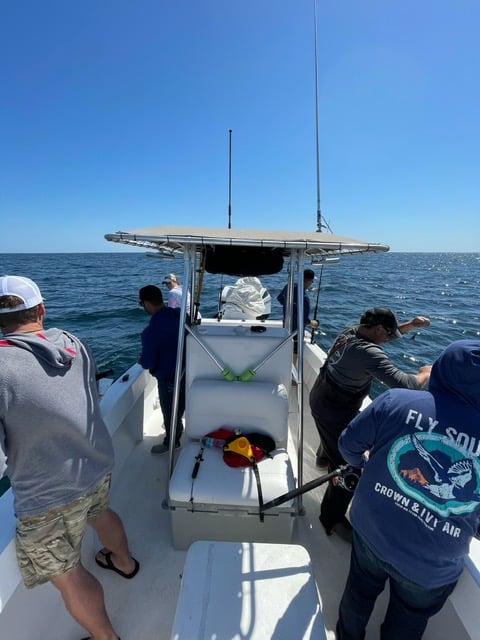 Offshore Hook-Up