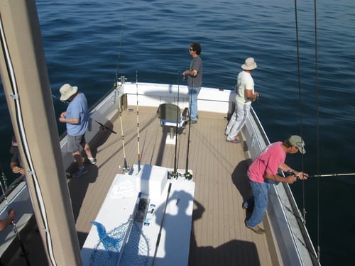 Fish on the Historic JAWS Boat