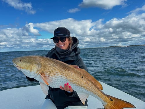 North Carolina Shark Hunt Special