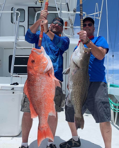 Gag Grouper, Red Snapper Fishing in Destin, Florida