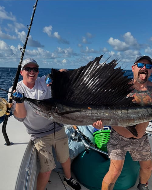 Offshore - 30' Contender