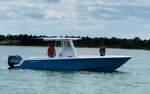 Offshore - 30' Contender