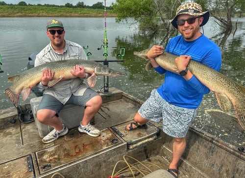 Giant Alligator Gar Adventure