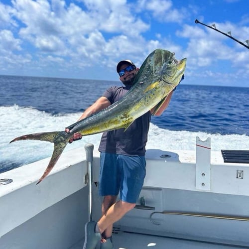Deep Sea Dash: Half-Day Fishing