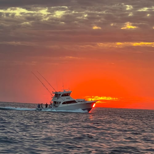 Deep Sea Dash: Half-Day Fishing