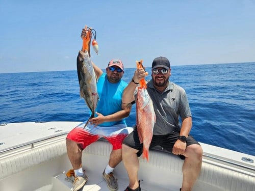 Bottomfishing Trip