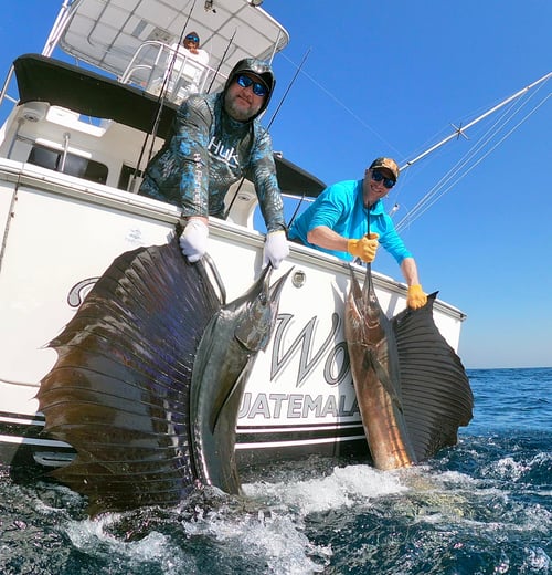 Pacific Fins Villa & Offshore