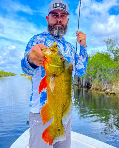 Peacock Bass Fishing in Fort Lauderdale, Florida