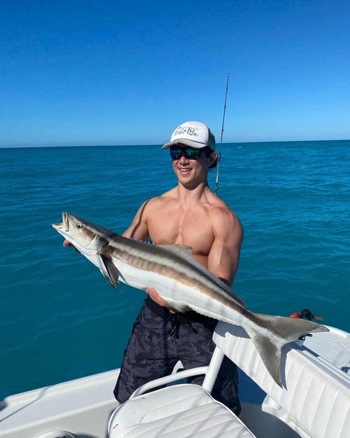 Cobia Fishing in Key West, Florida