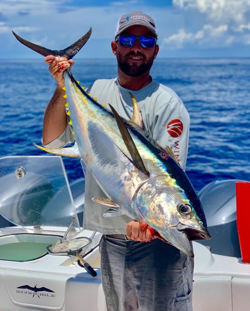 Yellowfin Tuna Fishing in Boothville-Venice, Louisiana