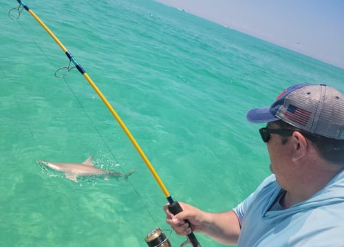 Fort Walton Beach Shark Slam