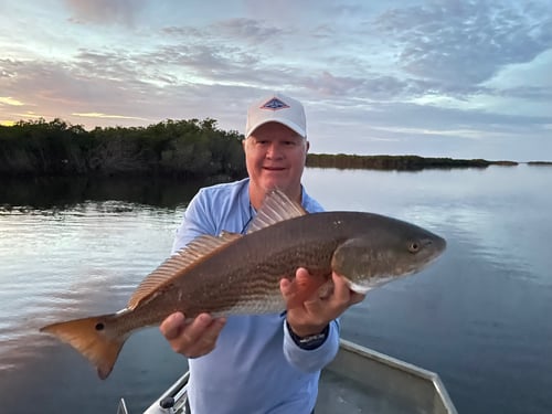 Crystal River Near and Inshore