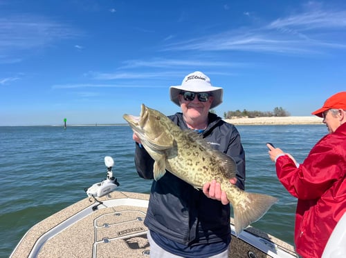 Shallow Water Grouper Trip