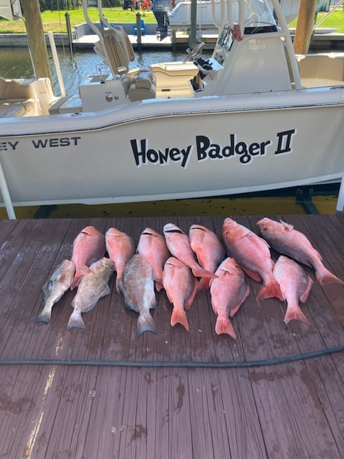 American Red Snapper Trip