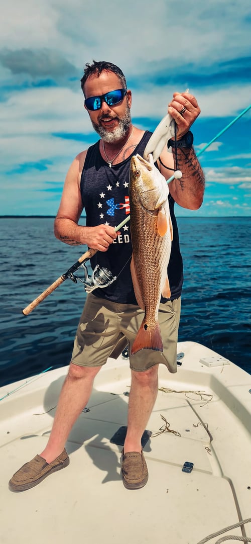 Big Ole Reds & Trout