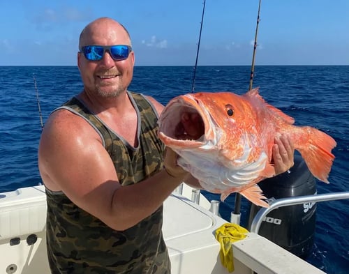 Red Snapper Adventure