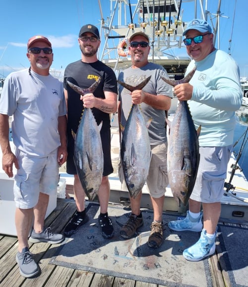 Offshore Tuna