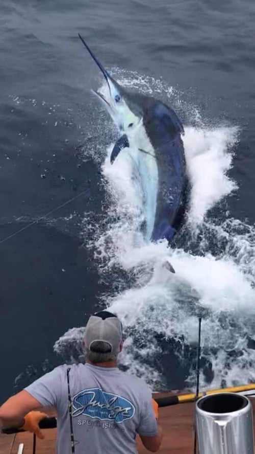 Ocean City Offshore Excitement