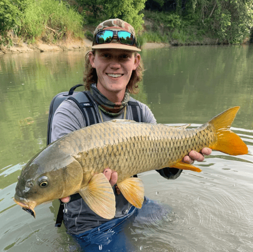 Carp and Buffalo on the Fly
