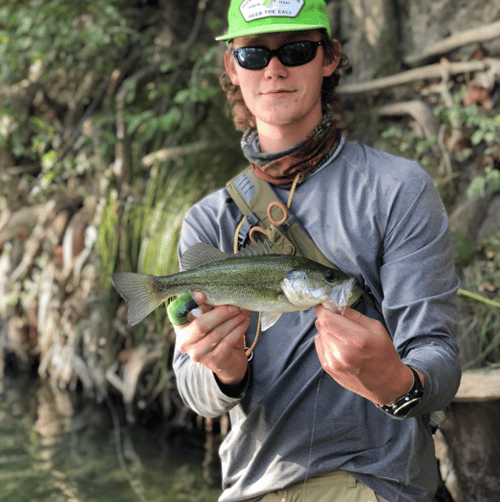Texas Bass and Drum on the Fly