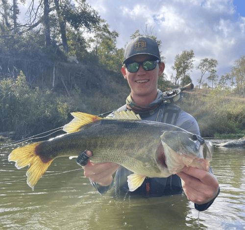 Texas Bass and Drum on the Fly