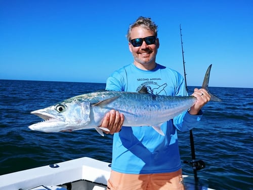 Offshore Drag Ripper