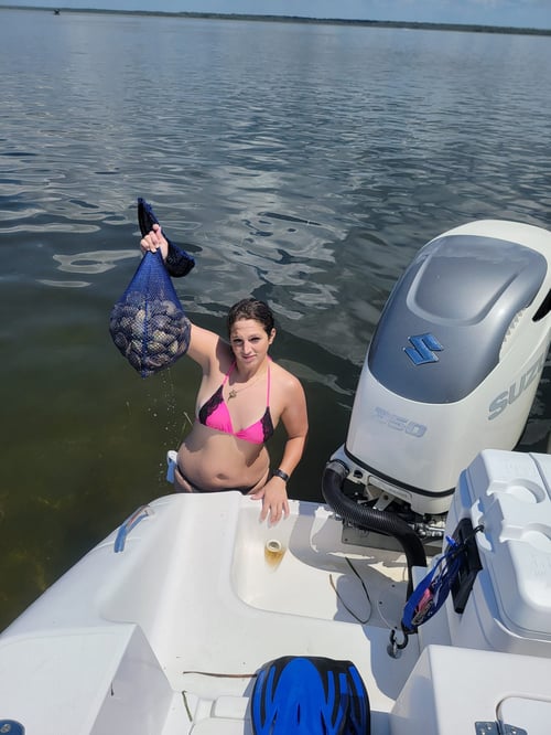 Steinhatchee Scalloping Trip