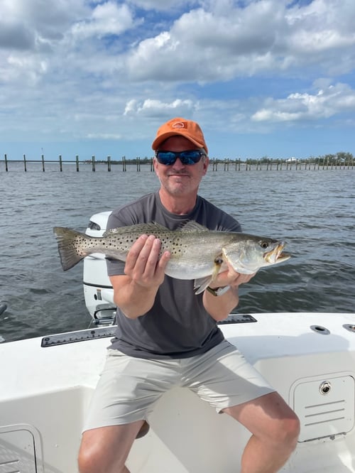 Speckled Trout Fishing in Bradenton, Florida