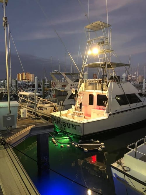 Full Day Hardcore Offshore Trip