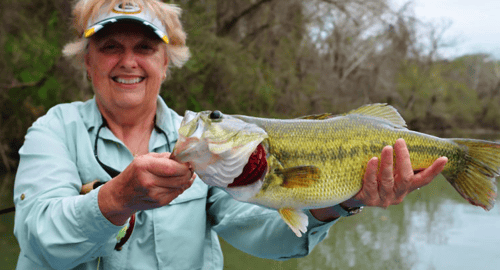 Walk-and-Wade Adventure