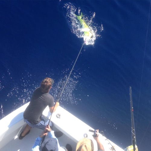 Swordfish Special - 41’ Hatteras