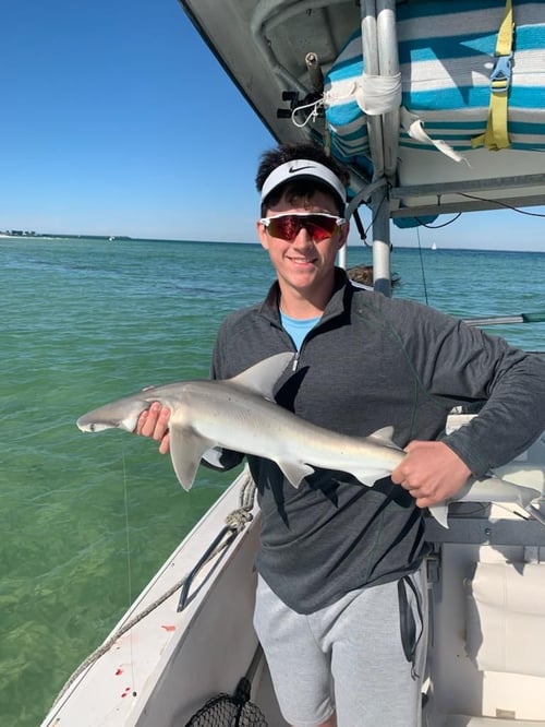 Holmes Beach Nearshore Slam