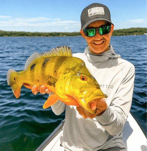 Everglades for Peacock Bass