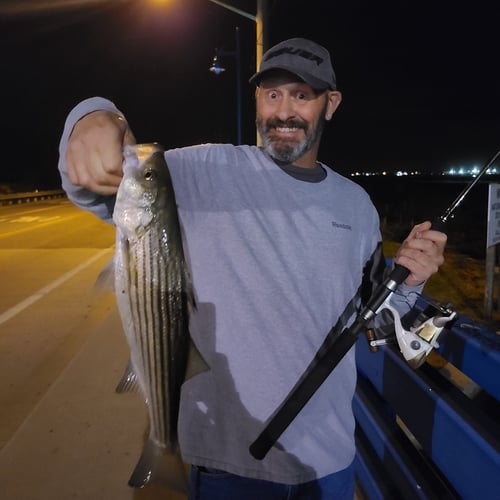 Nighttime Bridge Hopping Trip