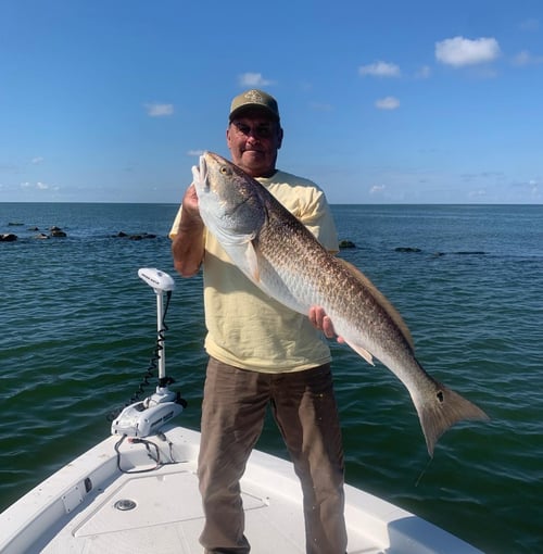 Full Day Delta Special