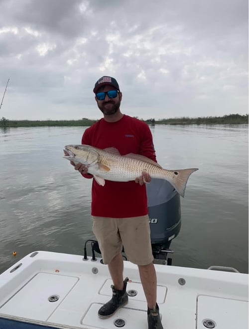 Full Day Delta Special