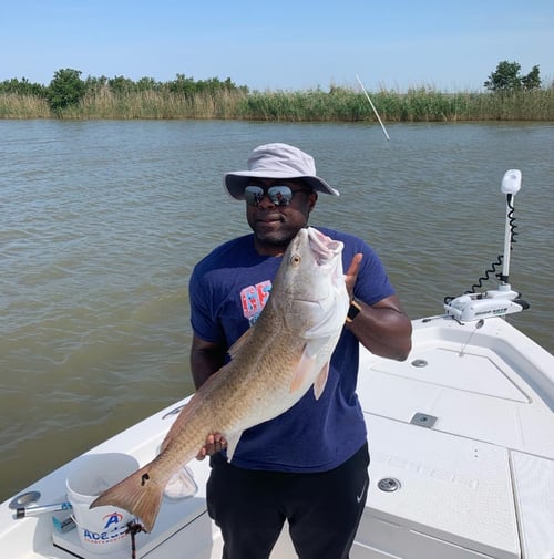 Full Day Delta Special