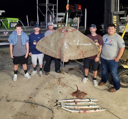 Ocean City Bay Bowfishing