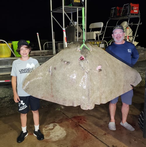 Ocean City Bay Bowfishing
