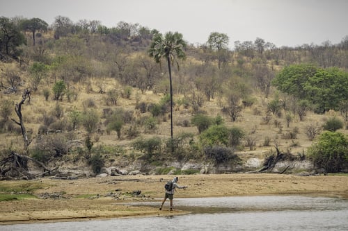 Tanzania Tiger Fish Safari