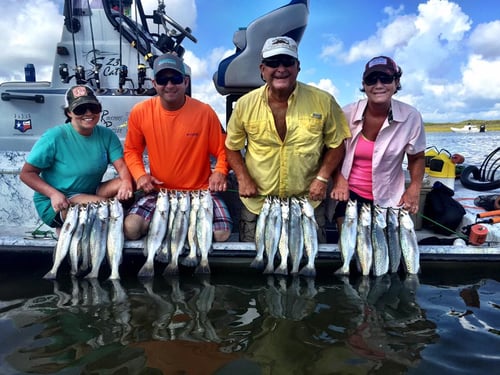 Speckled Trout Fishing in Rockport, Texas
