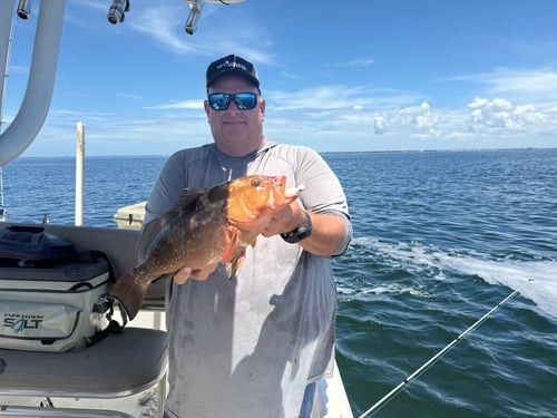 Inshore Flats and Channels Trip