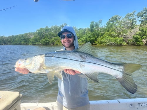 Inshore Flats and Channels Trip