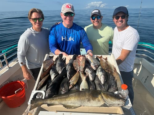 Full Day Montauk Charter