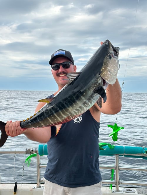 Montauk Tuna Special