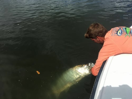 Puerto Rico Tarpon Charter